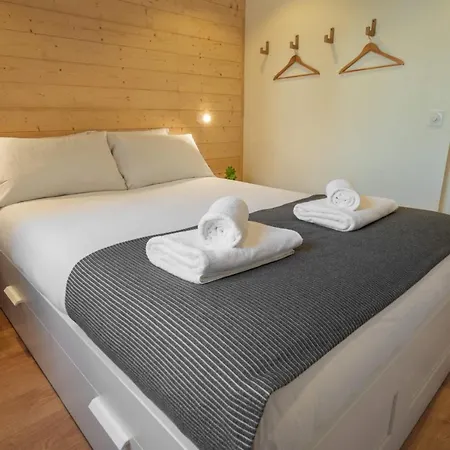 Sapi Cocon 4pax Centre Jardin Remontees Tv Wifi * シャモニー
