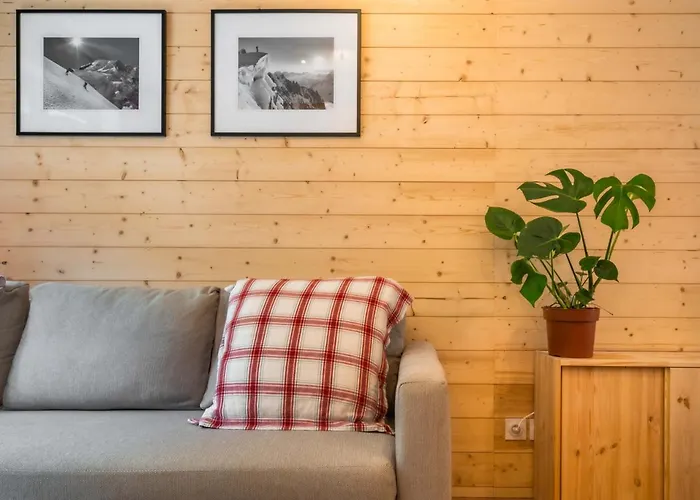 Sapi Cocon 4pax Centre Jardin Remontees Tv Wifi Apartman Chamonix