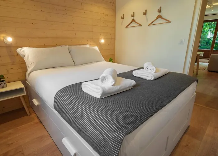 Sapi Cocon 4pax Centre Jardin Remontees Tv Wifi * 샤모니