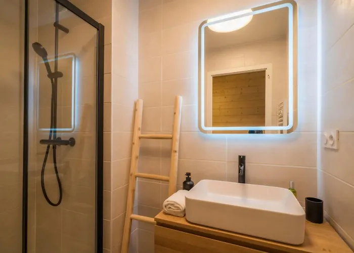 Sapi Cocon 4pax Centre Jardin Remontees Tv Wifi Apartman Chamonix